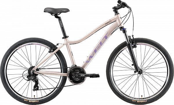 Велосипед WELT Edelweiss 1.0 26 (2022) Grey