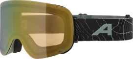 Маска ALPINA PENKEN WILLOW GREEN MATT (24/25) S2 Gold